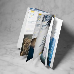 8.5" x 11" Booklets booklet