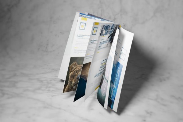 8.5" x 11" Booklets booklet