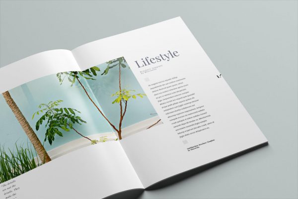 8.5"x11" Booklets - 100lb custom customizable booklet